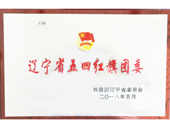 2018遼寧賞五四紅旗団委