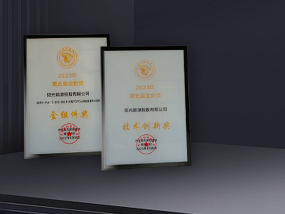 高光時(shí)刻 | 陽光能源獲N型TOPCon金組件獎及技術(shù)創(chuàng)新獎雙料獎項(xiàng)