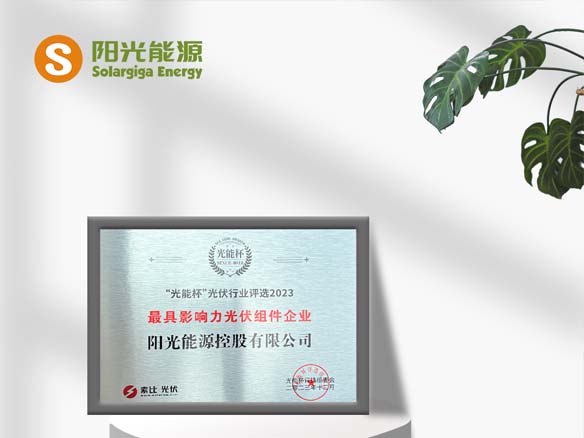 高光時(shí)刻 | 陽(yáng)光能源榮獲光能杯“最具影響力光伏組件企業(yè)”稱號(hào)